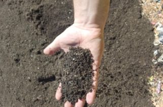 City compost
